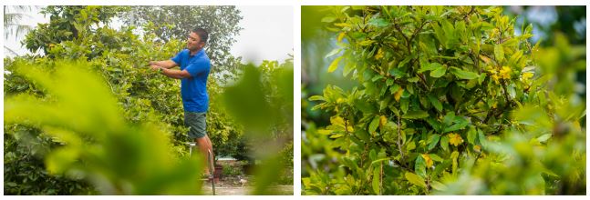 Thủ phủ mai TP.HCM tất bật chuẩn bị Tết, giảm 20% để người thu nhập thấp có thể mua