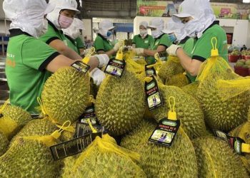 Chiều 17/2: Hội nghị Xúc tiến Thương mại, Đầu tư và Hợp tác kinh tế Việt Nam- Trung Quốc