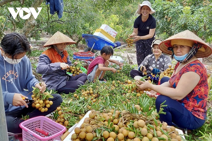 Du lịch Bà Rịa – Vũng Tàu sẵn sàng đón khách trong kỳ nghỉ lễ