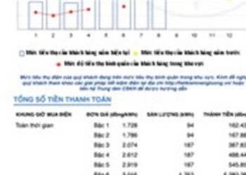 TP HCM: Vì sao tiền điện tháng 8 của một số khách hàng tăng cao?