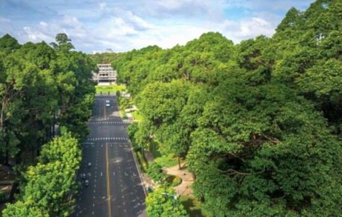Hơn 11,000 Người Sẽ Tham Gia Chạy Khai Xuân 2024 Tại Trung Tâm TP. HỒ CHÍ MINH