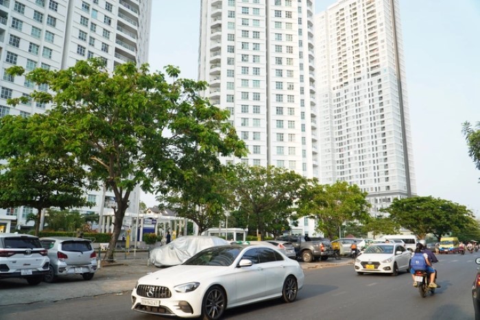 TP HCM: Cấp hơn 22.000 sổ hồng trong năm 2023