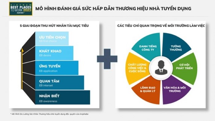 Anphabe khởi động Khảo sát Nơi Làm Việc Tốt Nhất Việt Nam® 2024