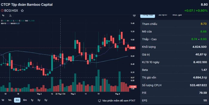 Tổng giám đốc mới của Bamboo Capital là ai?