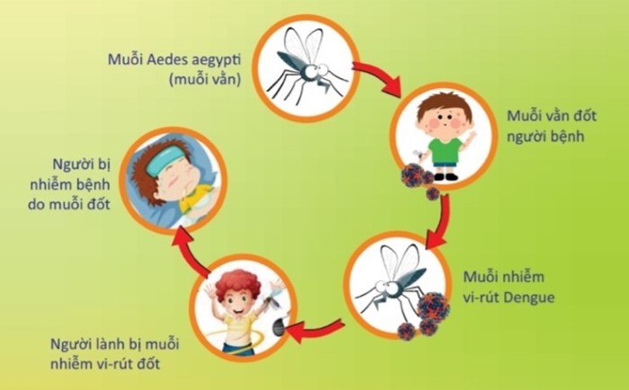 Thương hiệu Sensa Cools và Soffell khởi động chuỗi hoạt động “Trong mát ngoài lành, chơi hè thỏa thích”