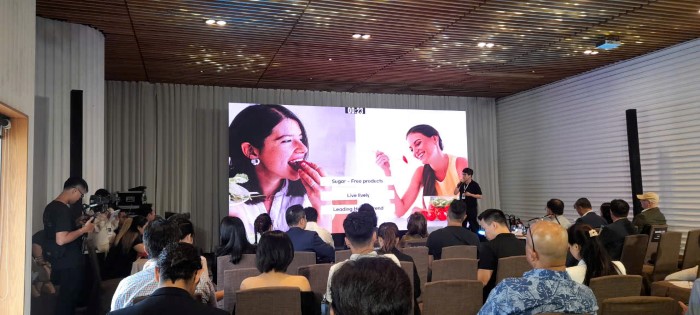 Ươm tạo startup “2024 K-Startup Center Program” – Thúc đẩy các startup Hàn Quốc khám phá thị trường Việt Nam
