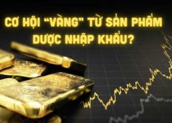 Tương lai của Ngành Dược Phẩm Việt Nam: Cơ hội “Vàng” từ sản phẩm Dược nhập khẩu Châu Âu