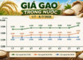 giá gạo