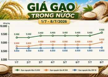 giá gạo