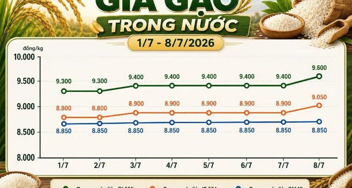 giá gạo