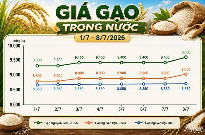 giá gạo