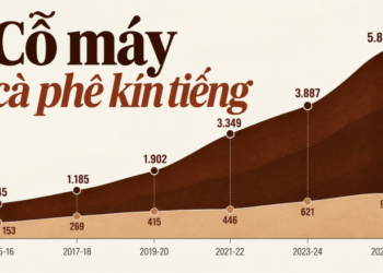 “Cỗ máy cà phê” kín tiếng ở Đắk Lắk đem về hàng nghìn tỷ cho đại gia Ấn Độ, được miễn thuế thu nhập trọn đời